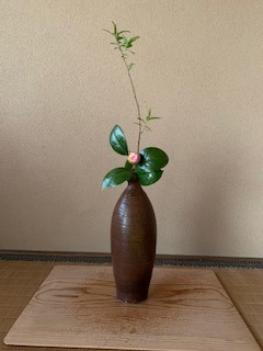 茶花を入れる: 表千家 堂後茶道教室 徒然ブログ
