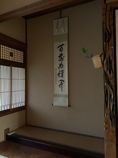 image1.jpeg