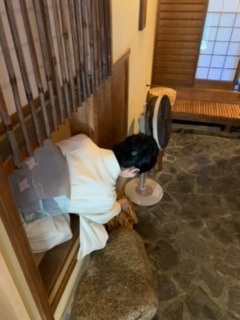 image1.jpeg