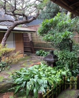 image6.jpeg