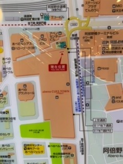image5.jpeg