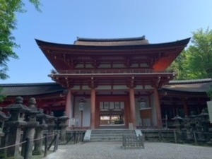 image9.jpeg