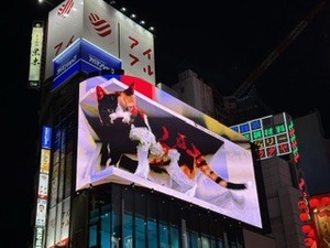 image10.jpeg