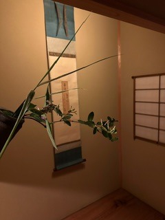 image6.jpeg