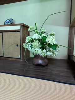 image4.jpeg