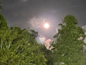 image2.jpeg